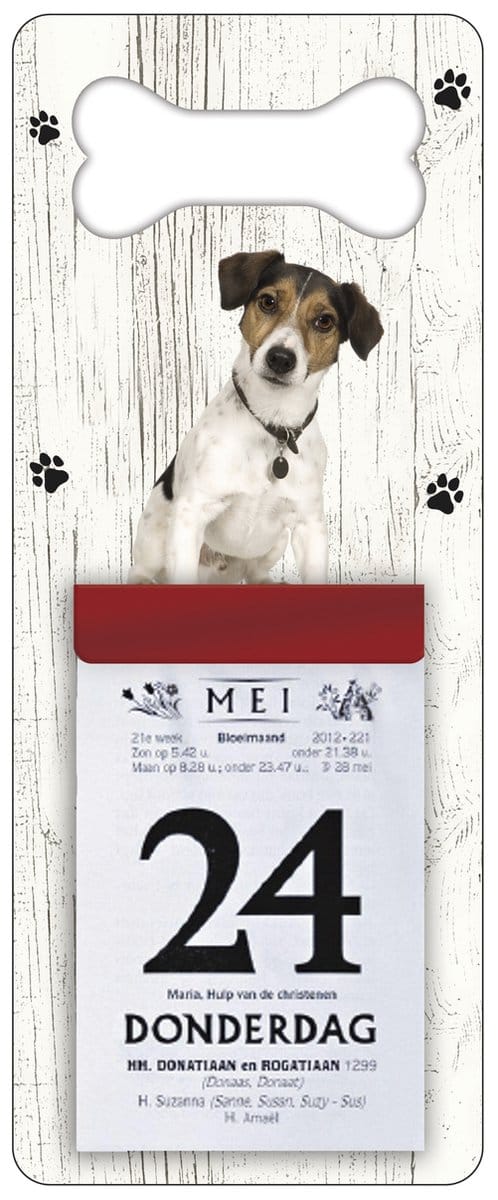 Scheurkalender 2027 Hond: Jack Russel