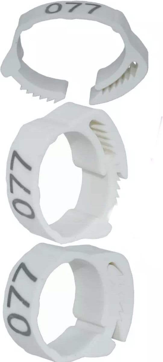 Pluimveeringen - verstelbaar - 20 mm - genummerd - 50 stuks - kippenringen - vogelringen - WIT