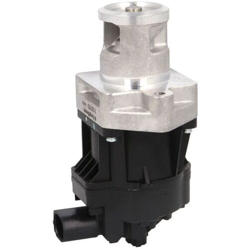 Borg Warner EGR-klep WAHLER 712075D