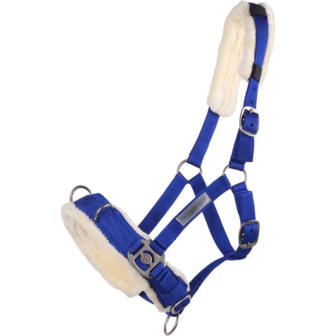 Qhp Kaptoom  Nylon - Mid Blue - full