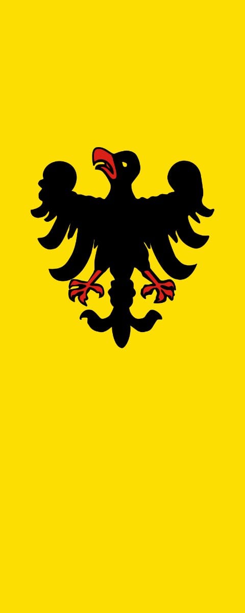 Vlag Sinsheim 100x150cm
