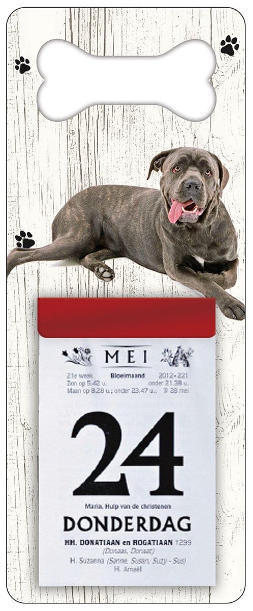 Scheurkalender 2027 Hond: cane corso