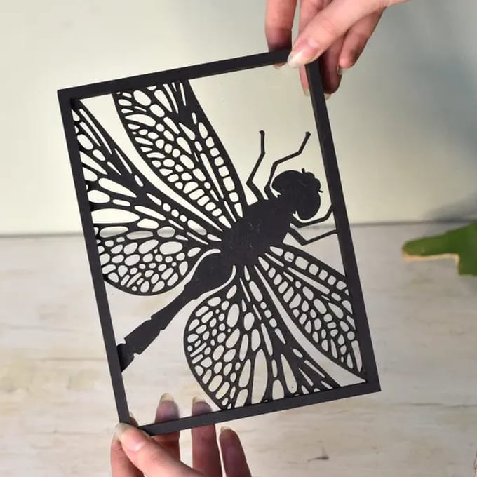Houten lijstje – Floating Frames – Libelle