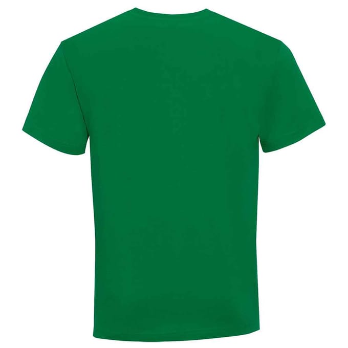 SOLS Heren Victory V-hals T-shirt (Kelly Groen)