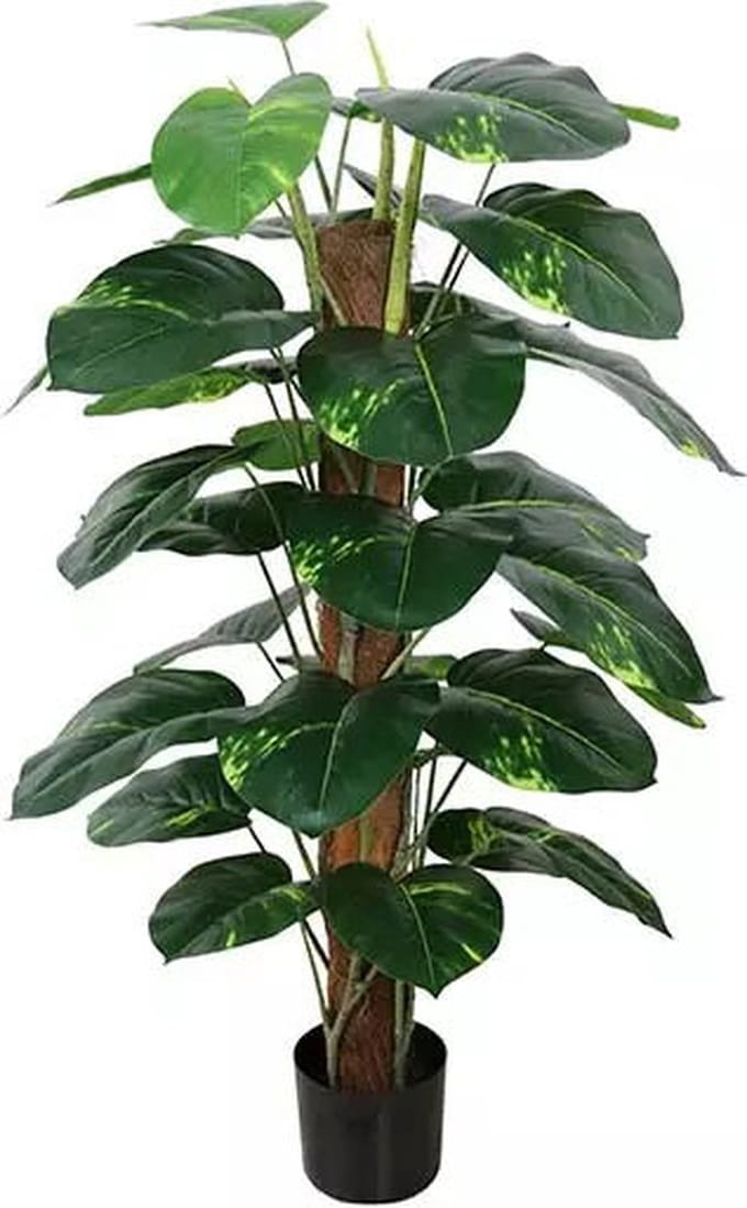 Kunstplant Dieffenbachia - 115 cm