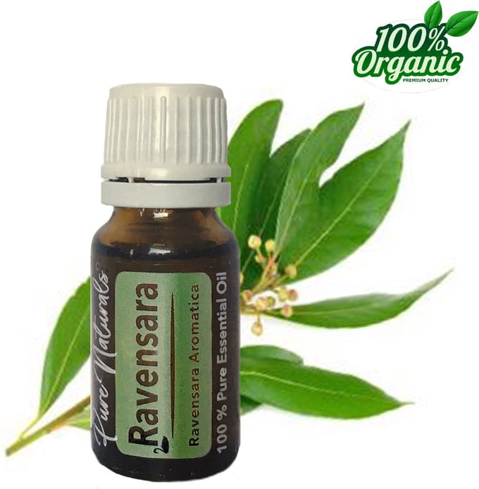 Ravensara etherische Olie 10 ml | Ravensara Oil | 100% PUUR | Bio | Essentiële olie Aromatherapie | Olie diffuse | Pure Naturals