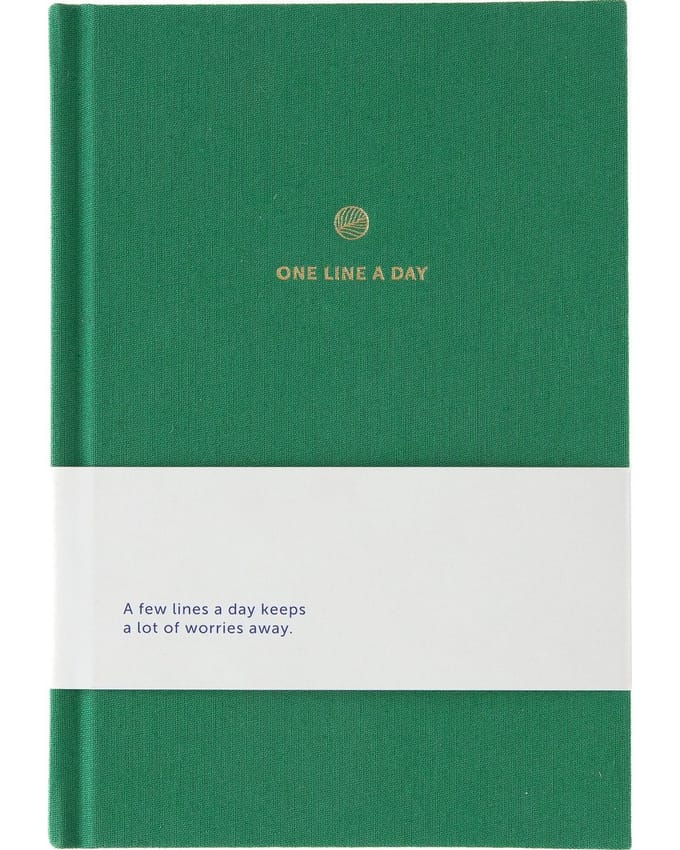 A-Journal - One Line a Day - Dagboek 5 jaar - Roze geruit