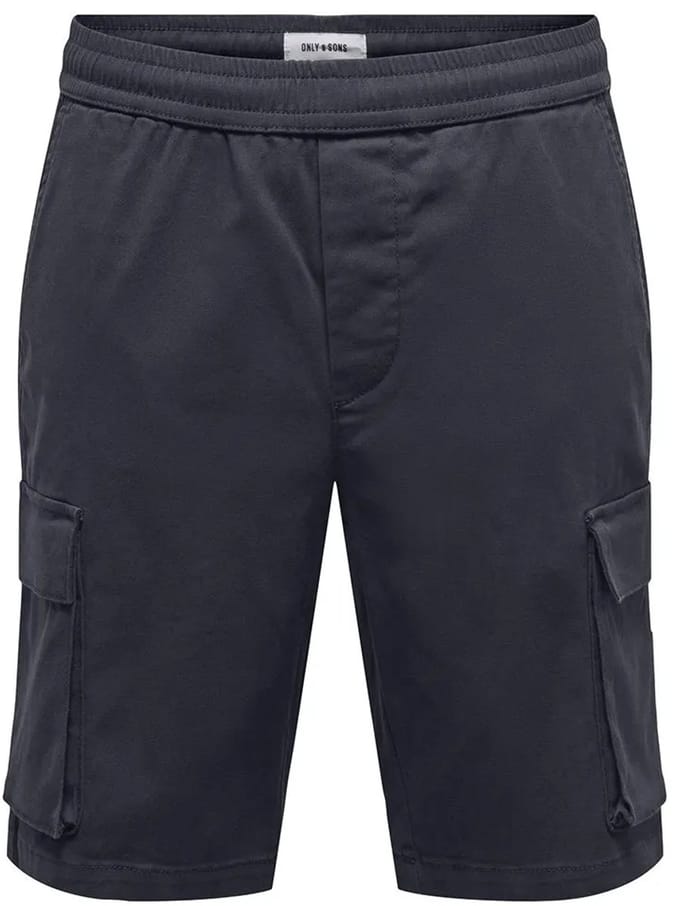 Only & Sons Cam Life Linus Cargo Shorts Blauw S Man
