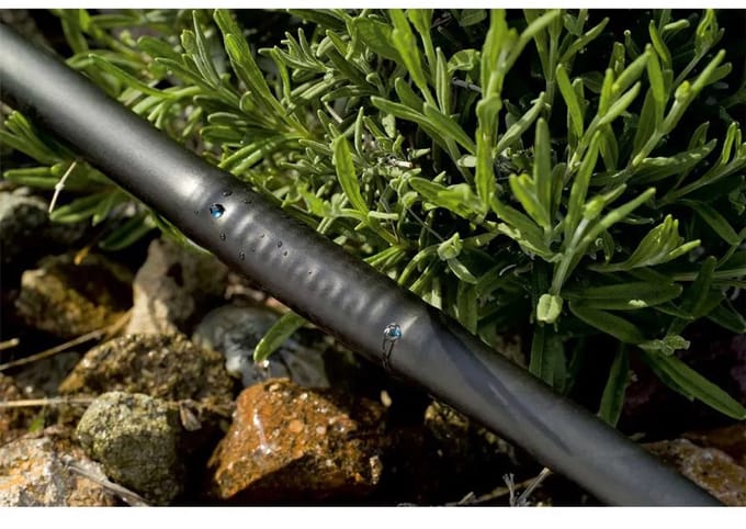 Stocker 1/2´´ Druppelslang 25 M Goud