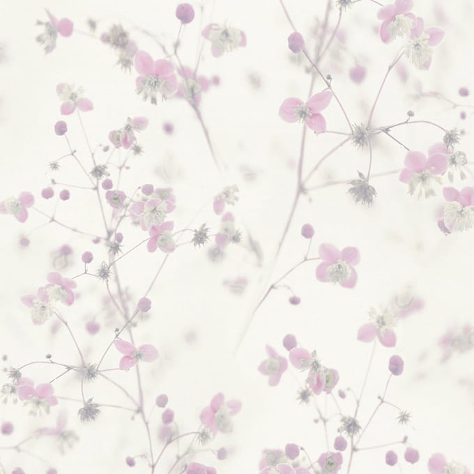 COTTAGE BLOEMETJES BEHANG | Tropisch - roze wit grijs - A.S. Création PintWalls II