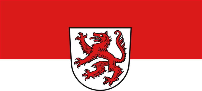 Vlag Passau 100x150cm