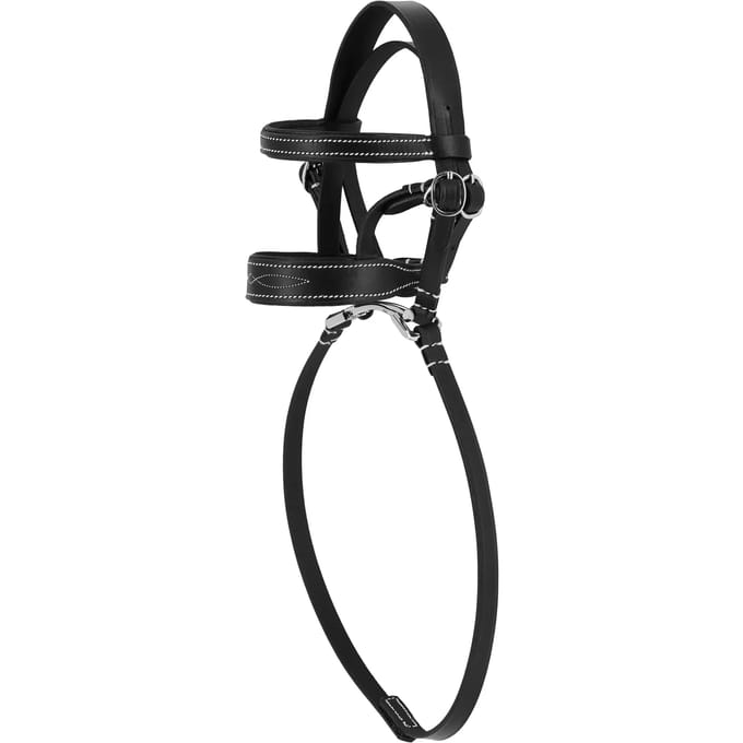 Mini trainingstang Equithème Pony Academy