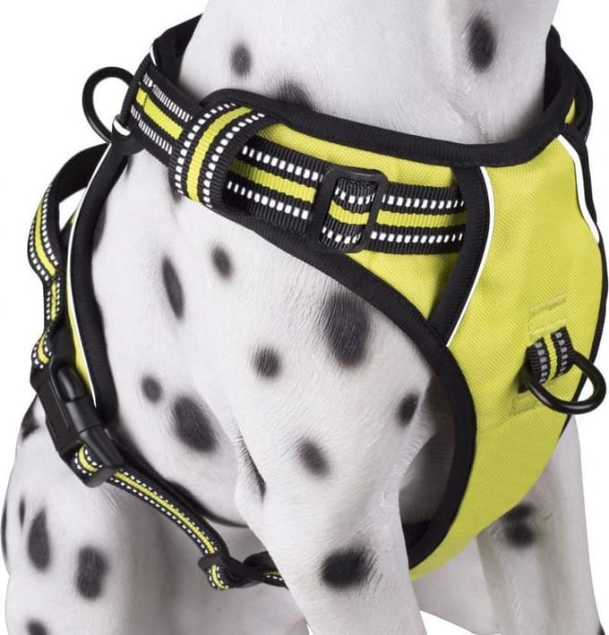 Frenkiez Reflective No Pull Dog Harness, green/yellow, S
