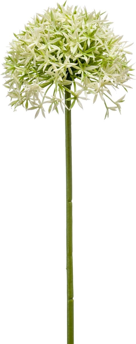 Emerald - Kunstbloem Allium 62cm groen - Kunstplant voor binnen