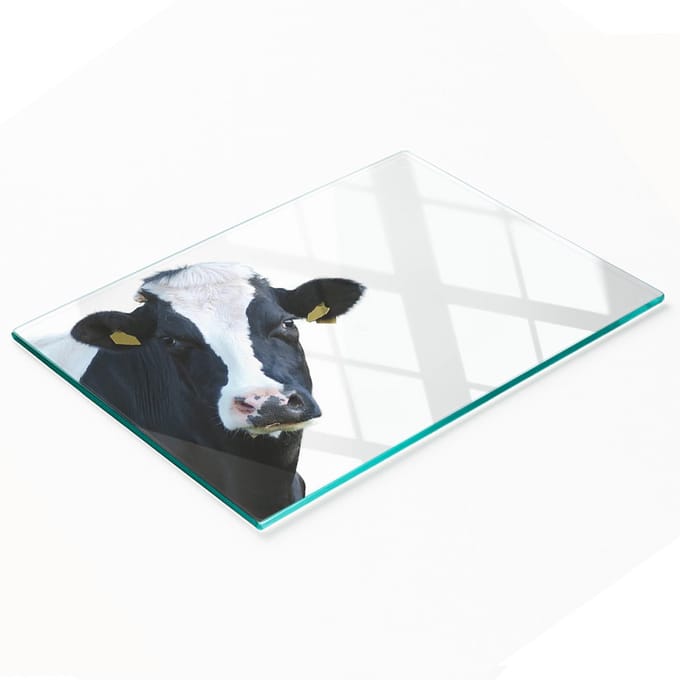 Keuken serveerplank van gehard glas met koeienafbeelding 80x52 cm