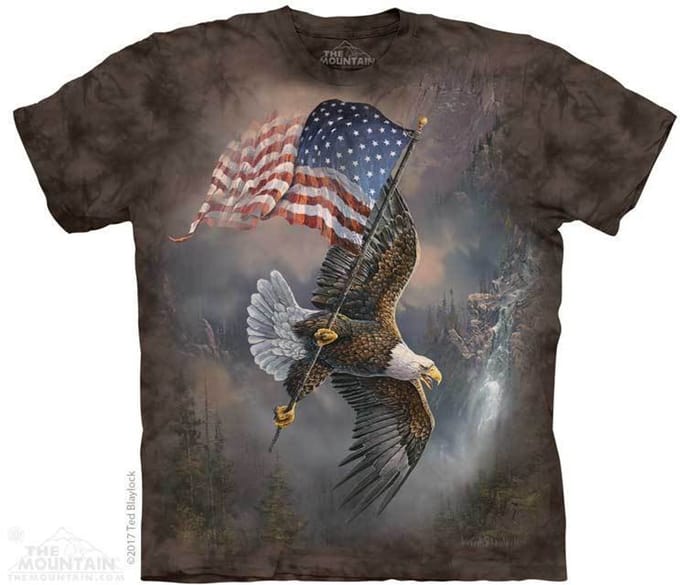 T-shirt Flag Bearing Eagle 3XL