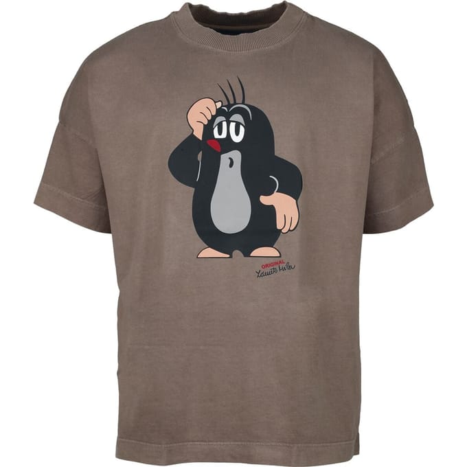 Het Molletje Oversized T-shirt - Het molletje - Oversized - M tot L - voor Mannen - meerkleurig