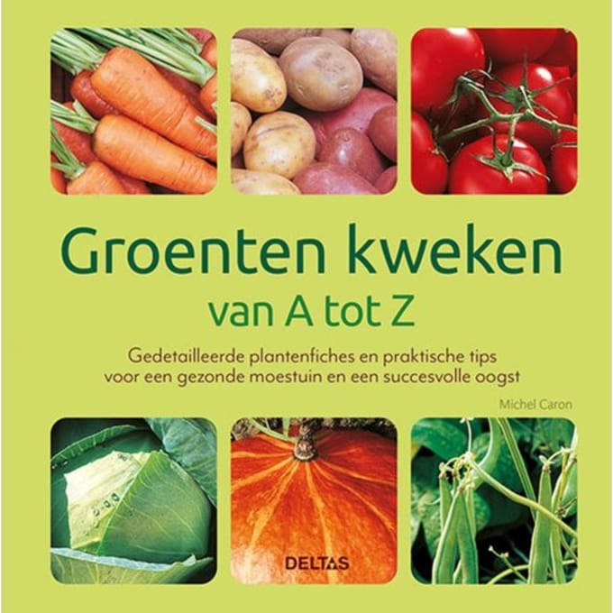 Groenten Kweken Van A Tot Z