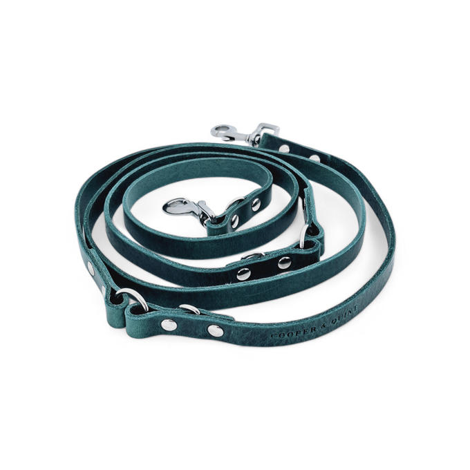 Cooper & Quint Switch Verstelbare Leren Hondenriem - Groen - 2 cm - Oud Messing