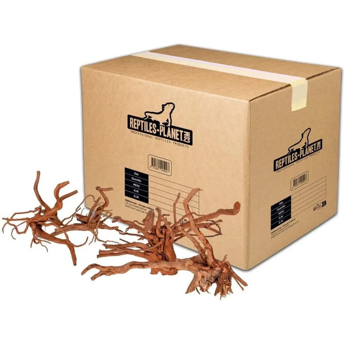 Spinnenwortel aquariumdecoratie M Reptiles Planet