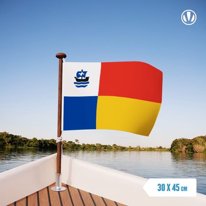Vlag Almere 30x45cm