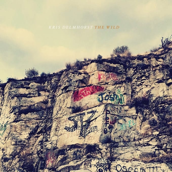 Kris Delmhorst - The Wild (CD)