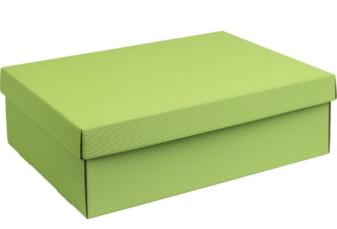 Geschenkdoos met deksel karton LICHTGROEN 30,5x21,5x10cm (35 stuks)