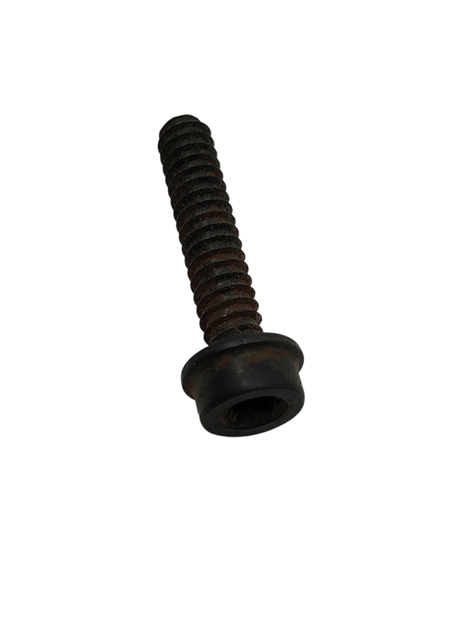 Screw