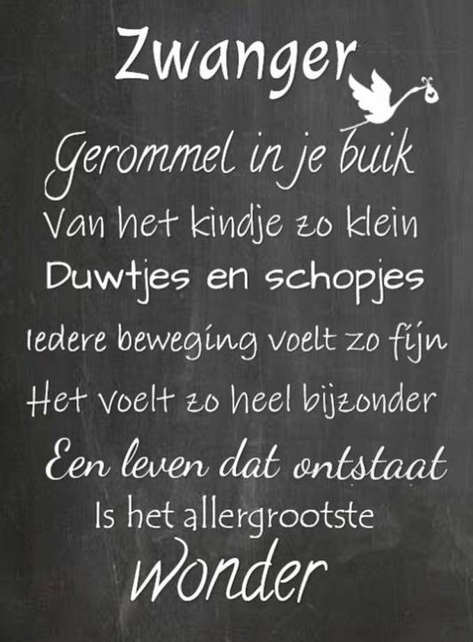 Houten tekstbord 'Zwanger' - cadeau zwangerschap -
