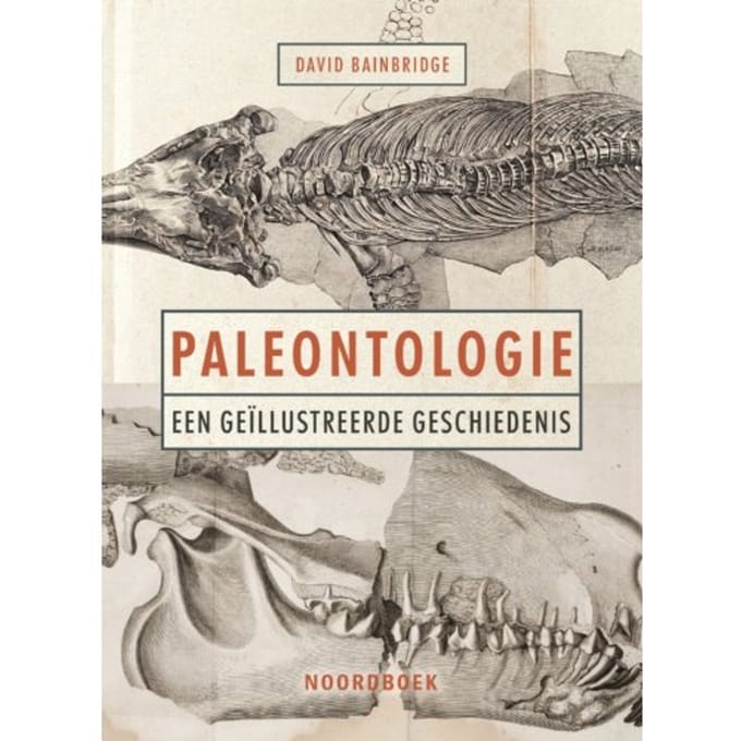 Paleontologie - David Bainbridge