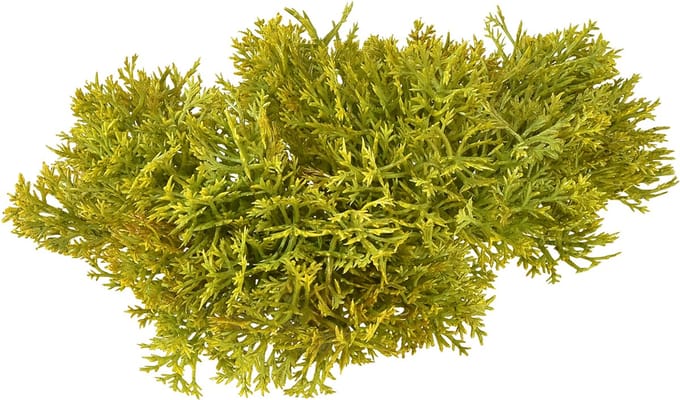 Decoratief mos kunstgroen bruin – moskussen 10/12/14cm 3 stuks, 3 Stüc