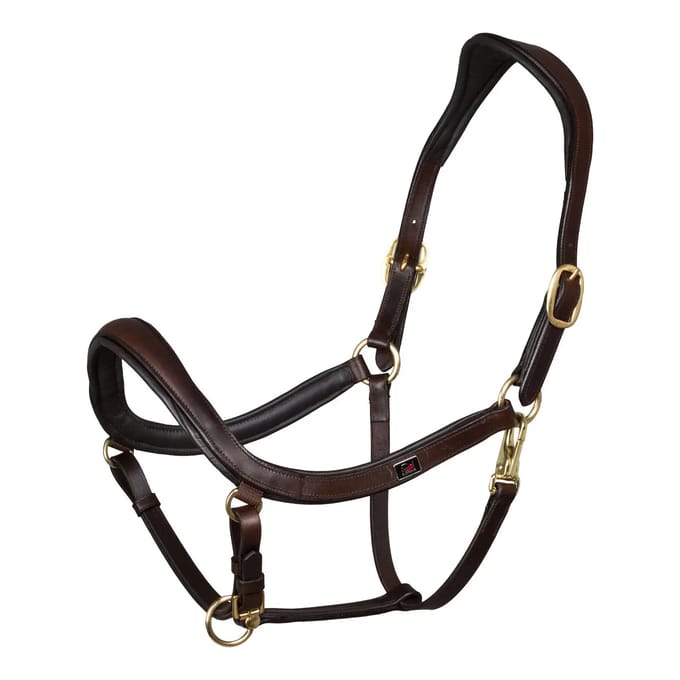Jachthalsband voor paarden Equestro