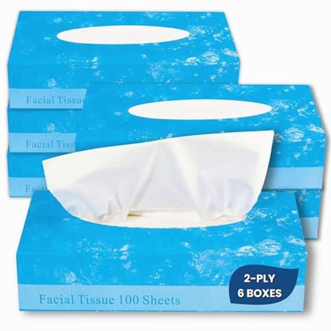 Gezichtszacht Tissuepapier - 2 Laags - 100 Vellen per Doos - 6 Dozen
