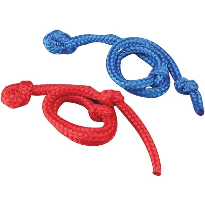 Vee accessoire lacs band Vink (x2)