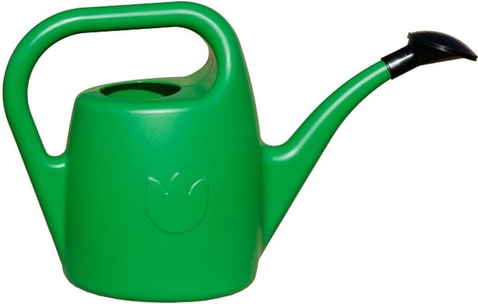 Gieter Eva kunststof 2 liter met sproeikop groen