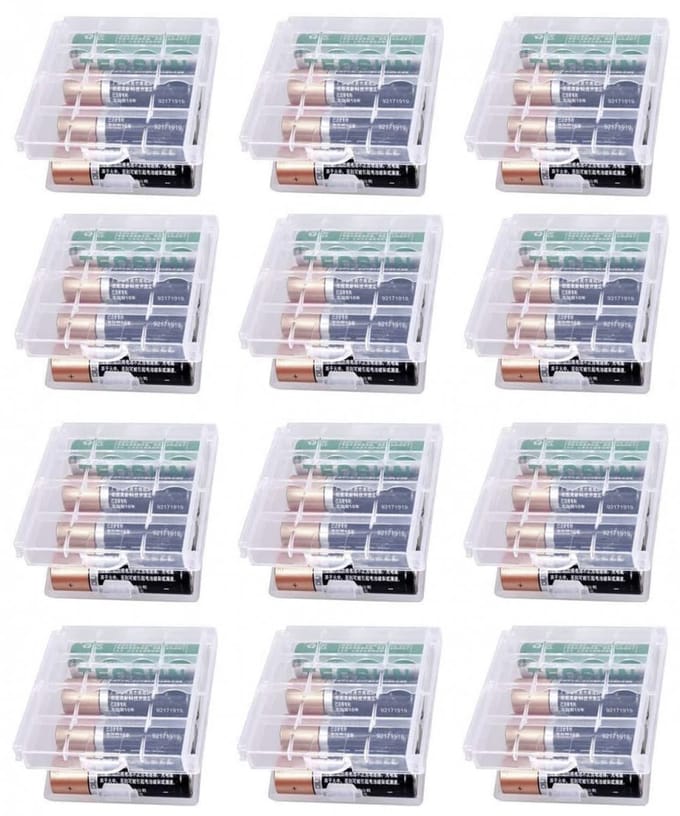 Batterij bewaarbox - 12 stuks - Batterij Storage Organizer - geschikt voor 48 AAA - transparant