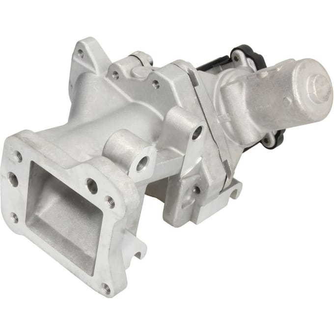 EGR-klep DELPHI EG10437-12B1