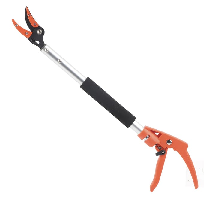 Fruitplukker Schaar Knipper voor Druiven Perzik Tak Snoeischaar Tuinaccessoire black