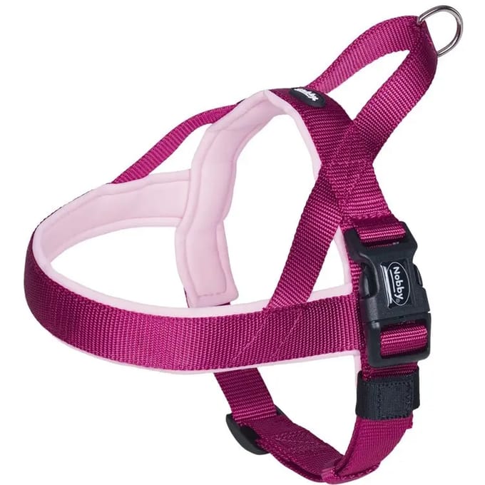 Noors tuig voor honden Nobby Pet Classic Preno