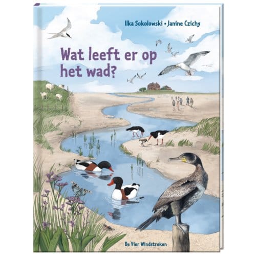 Wat Leeft Er Op Het Wad? - Ilka Sokolowski