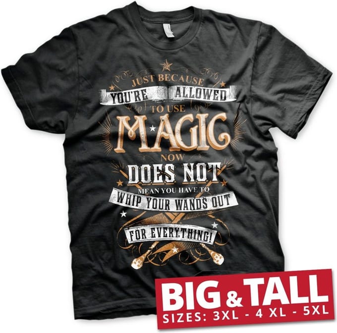 Harry Potter Magic Big & Tall T-shirt Zwart