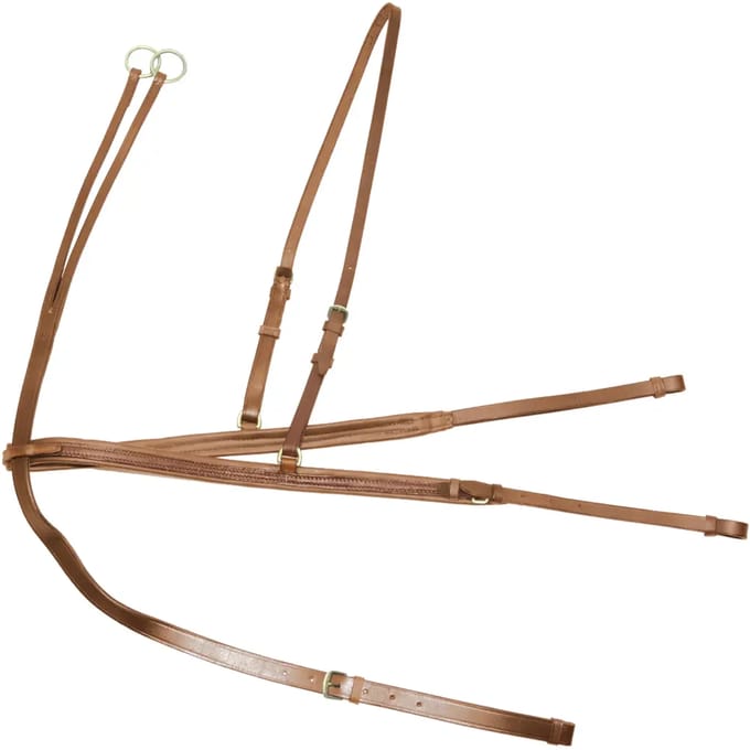 Jachtcollier met martingale voor paard Derby