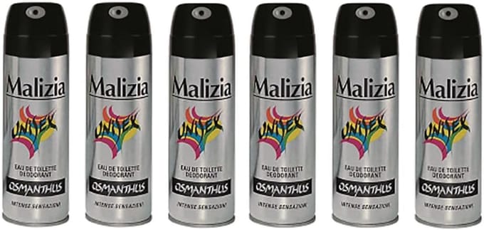 6 x Deodorant Spray voor Mannen - Langdurige Frisheid 125 ml