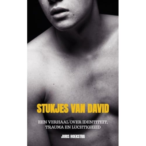 Stukjes Van David - Joris Hoekstra