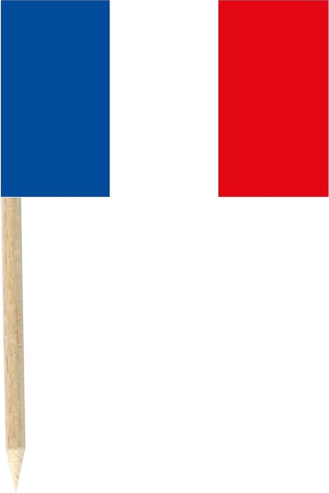 CHRISTIANFABRICATIONS - Set van 50 mini prikkers Franse vlag