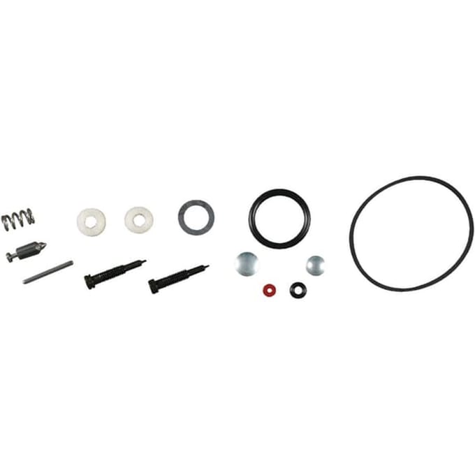 Briggs & stratton carburateur reparaties
