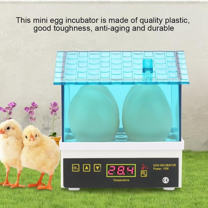 4 Eieren Mini Incubator Broedmachine Huishoudelijk Digitaal Semi-automatisch Broedhuis Machine blue