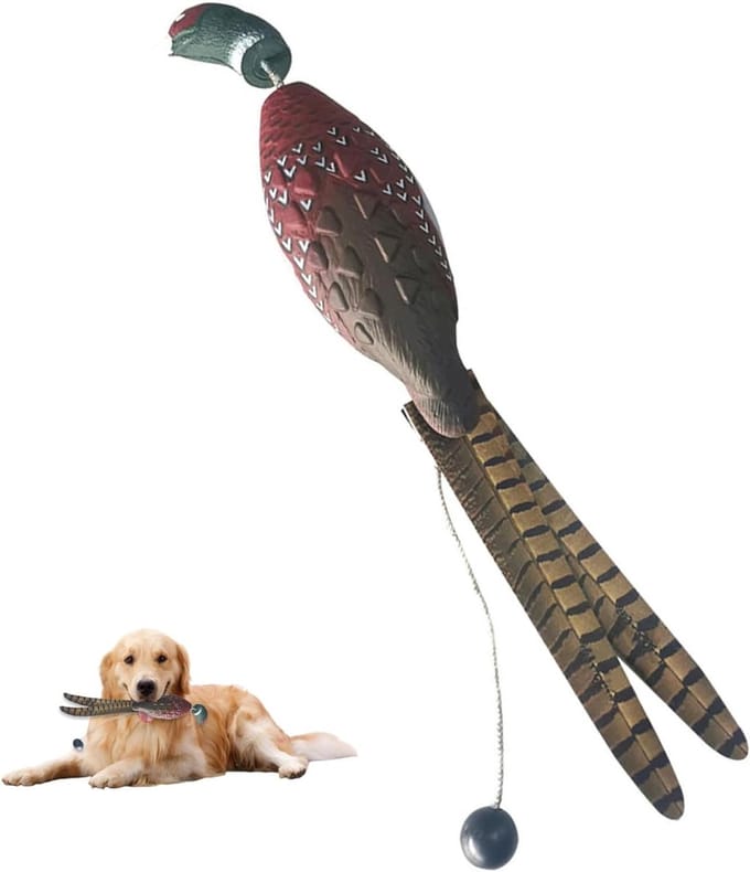 Honden trainingsdummy - Waterdichte fazant - Hondentraining - Verbeterde werptrekker - 30 cm - Realistisch