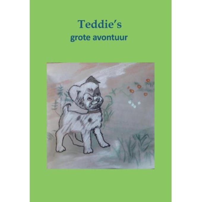 Teddies Grote Avontuur - Nancy den Broeder