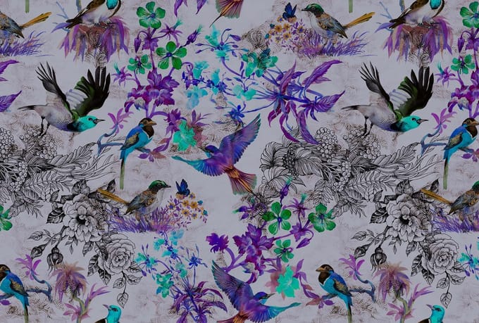Behang walls by patel funcky birds 2